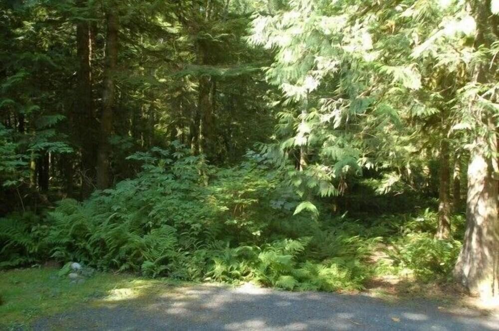 Mt Baker Lodging Cabin 67 - Sleeps 5