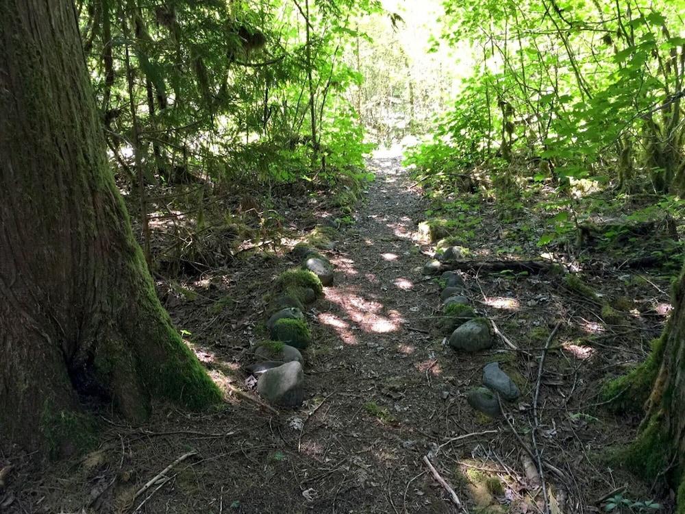 Mt Baker Lodging Cabin 70 - Sleeps 8