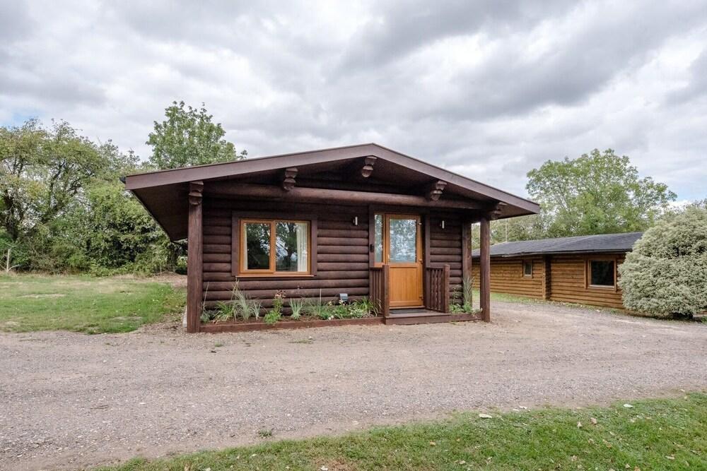 Laurel Lodge Kingfishers