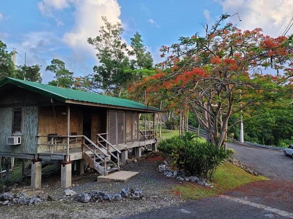 Arecibo Observatory-VSQ