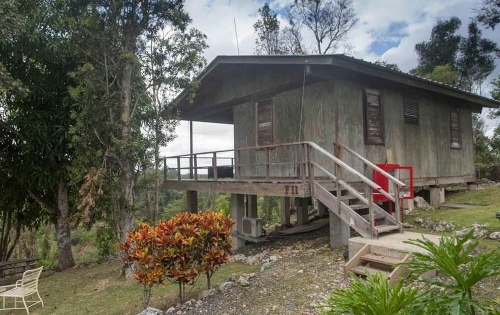 Arecibo Observatory-VSQ