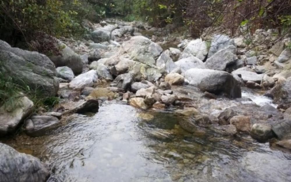 Gapyeong White House Valley Pension