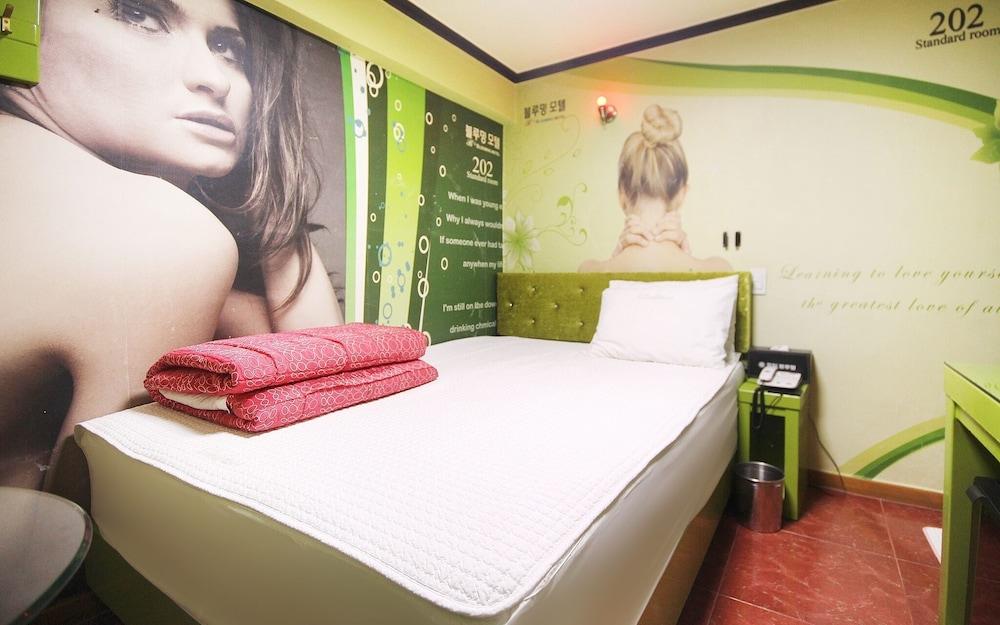 Busan Suyeong Blooming