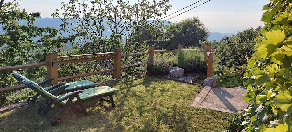 Vineyard cottage Stopar