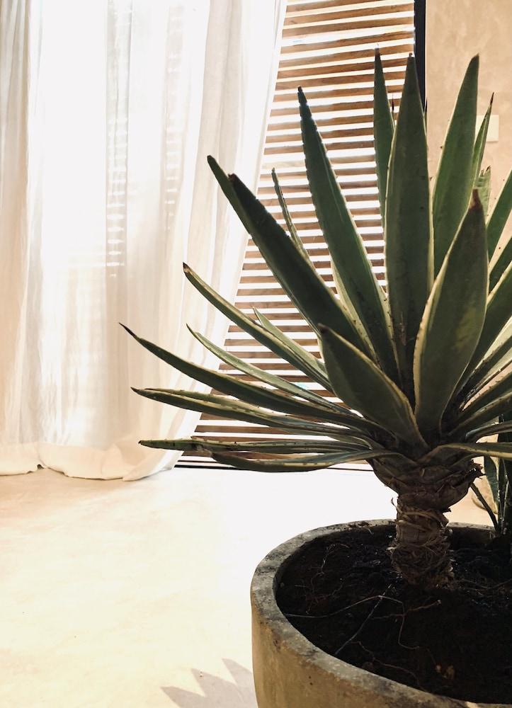 Apartments & Suites MADRE Holbox Self-Check IN