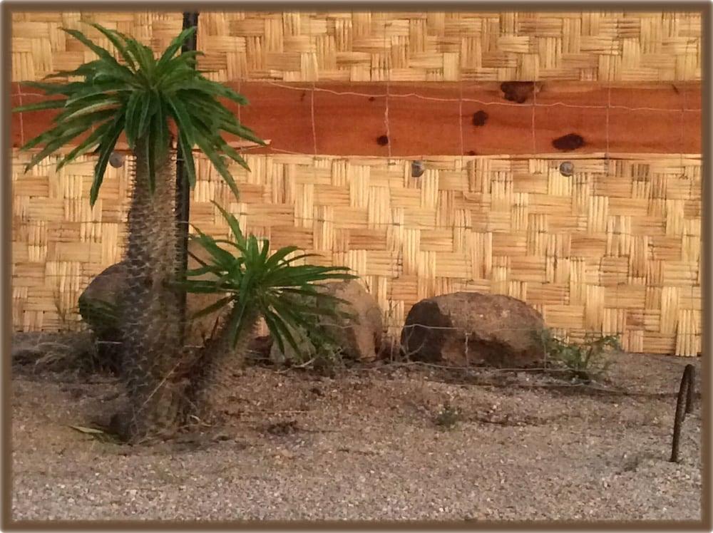 Room-camp - Santos Cabana Santino