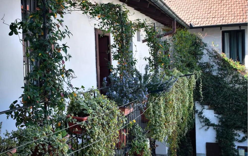 Studio Flat 15 Min From Milancenter