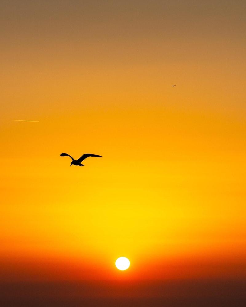 Villa ata Razanac - Apartment With sea View