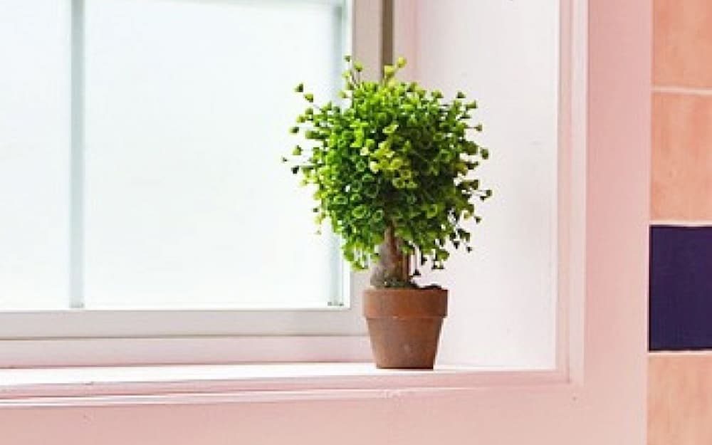 Gyeongju Novios Pets Friendly Pension