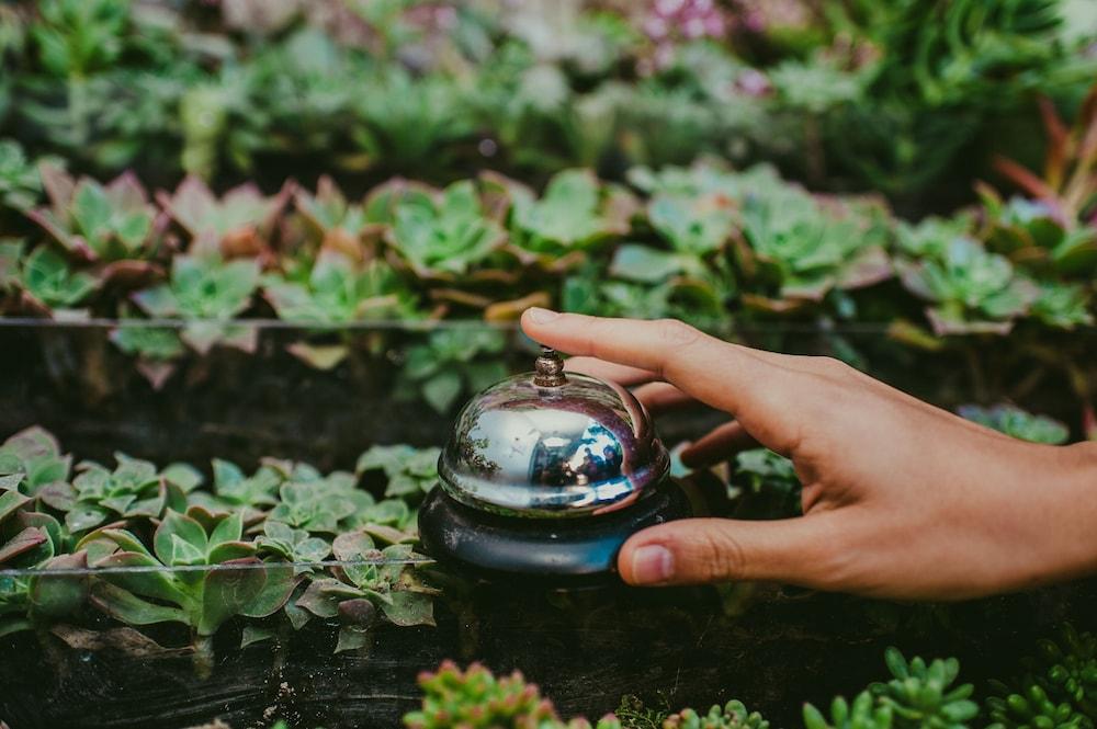 Rupa Rupa High Jungle Eco B&B