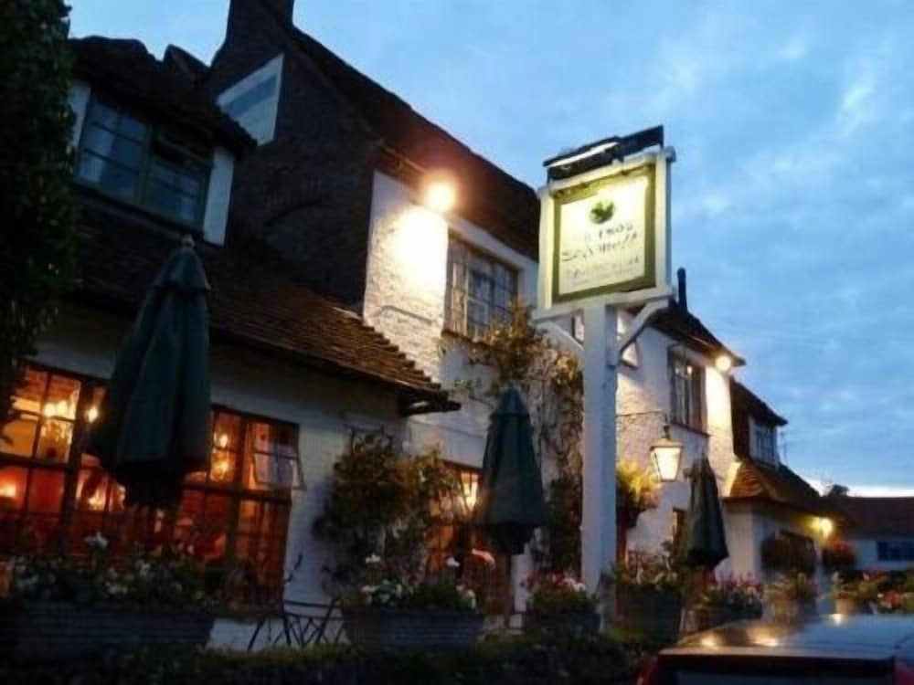 The Frog at Skirmett