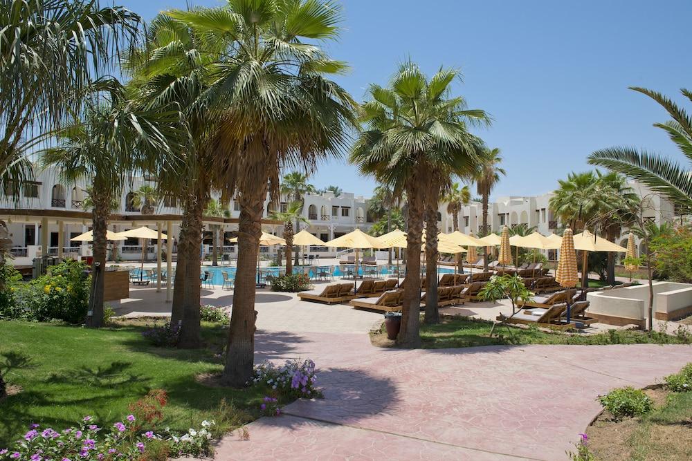 Amphoras Aqua Adults Friendly