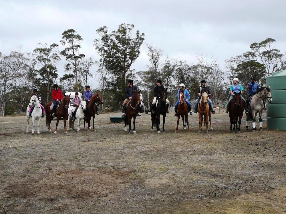 Wind Song Bed & Breakfast