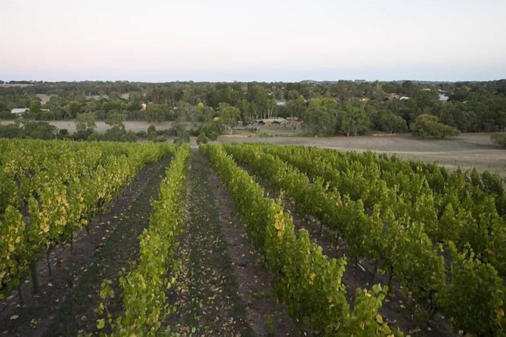 Barristers Block Vigneron Villa