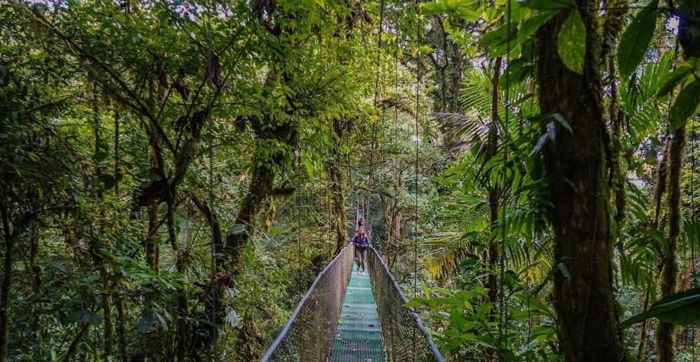 Heliconias Lodge and Rainforest