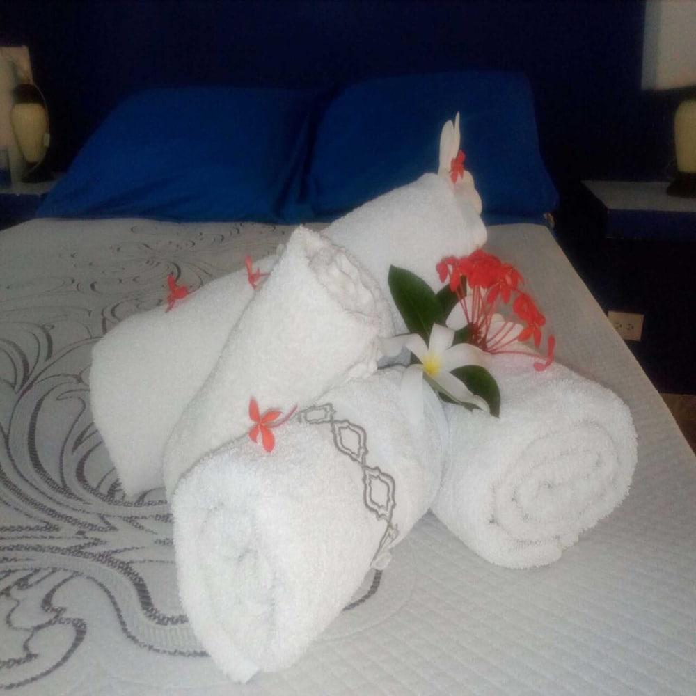 House Jardin Del Caribe