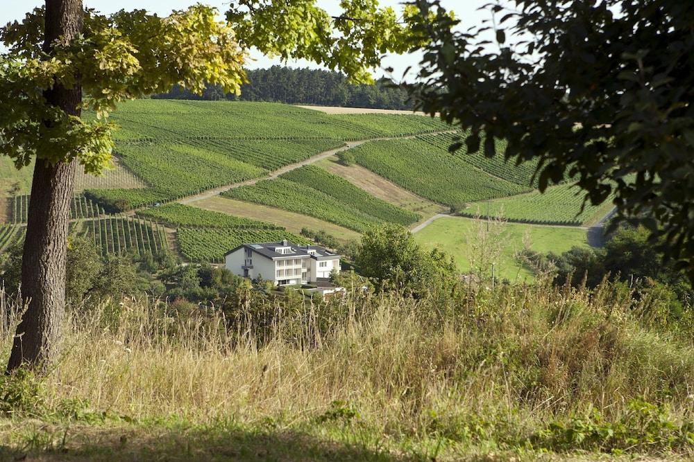 BENZ Weingut & Weinhotel