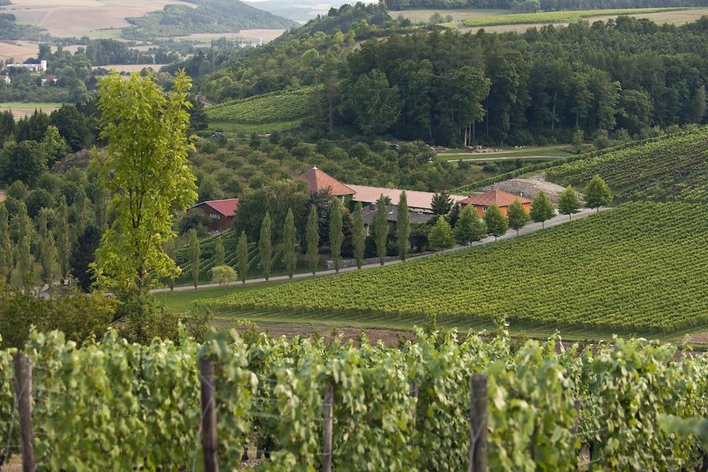 BENZ Weingut & Weinhotel