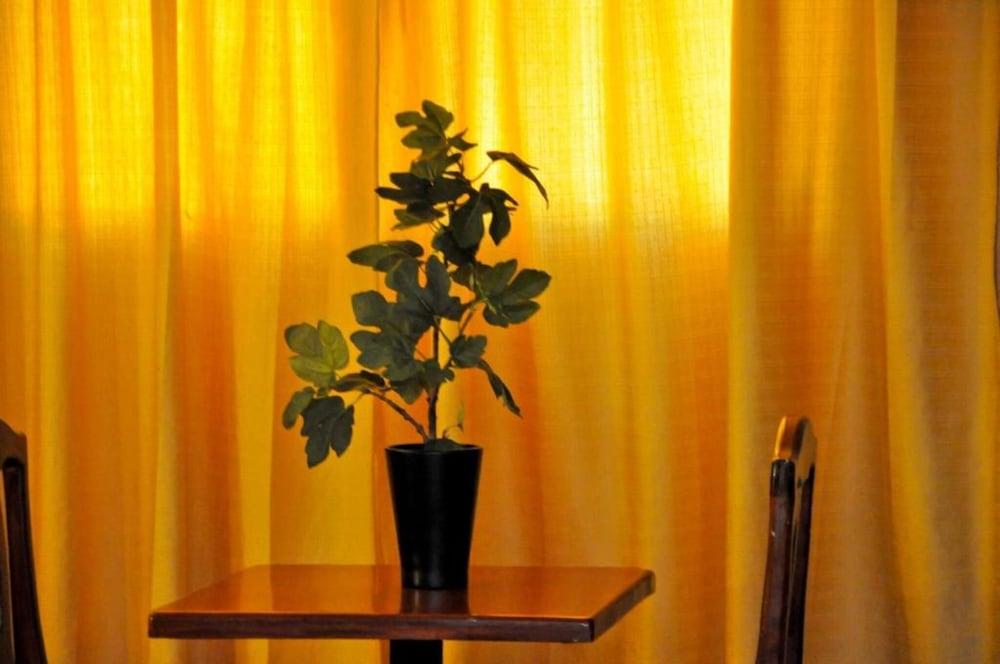 Hotel Marimba Punta Cana