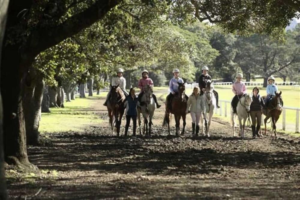 Central Bondi Apartment NEW