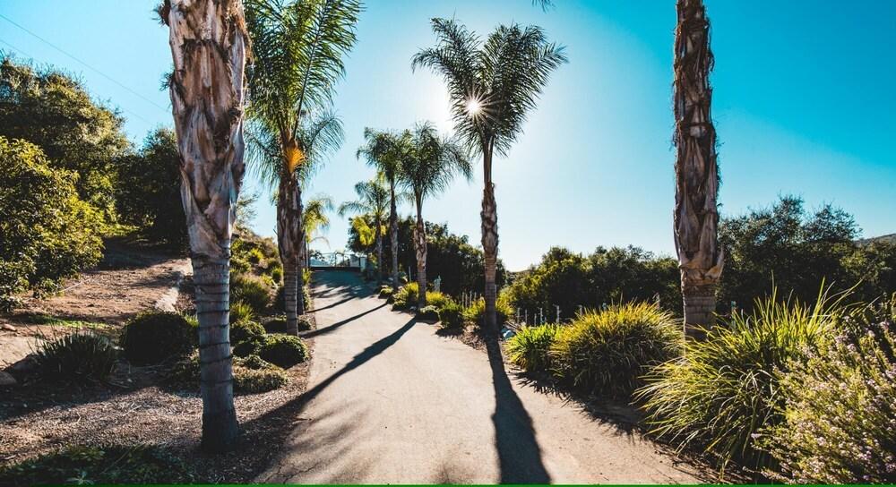 Via Santa Rosa - Grapevine