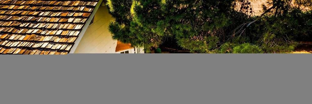 Exeter - Agave in Phoenix