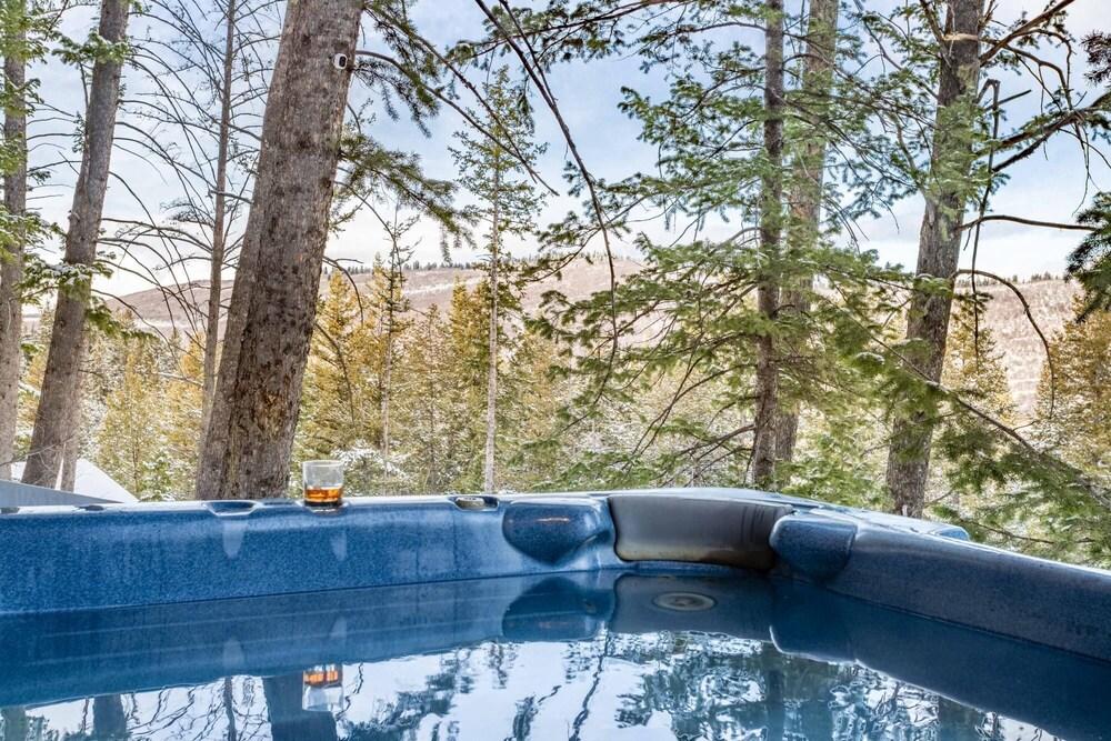 Upper Evergreen - Treetop