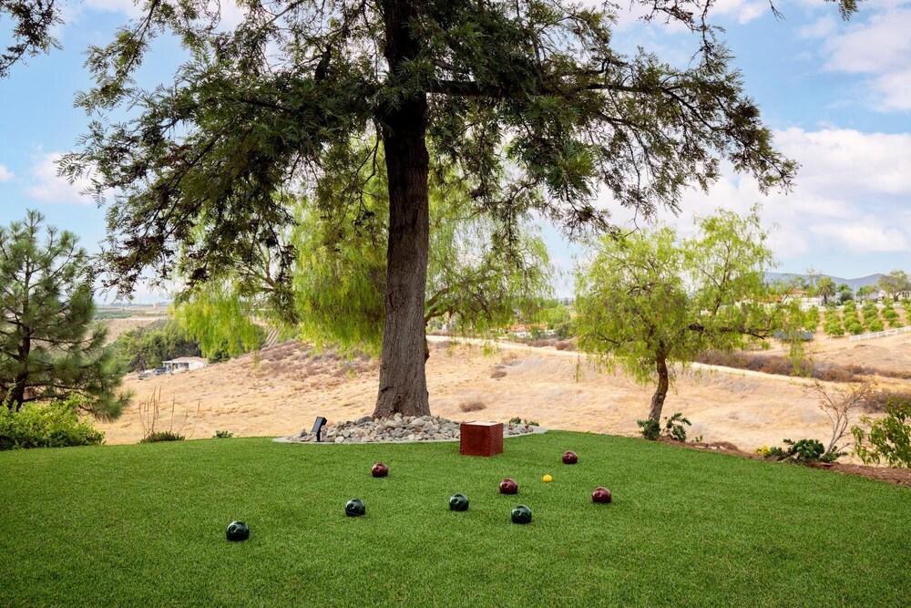 Calle La Coca - Chateau Syrah