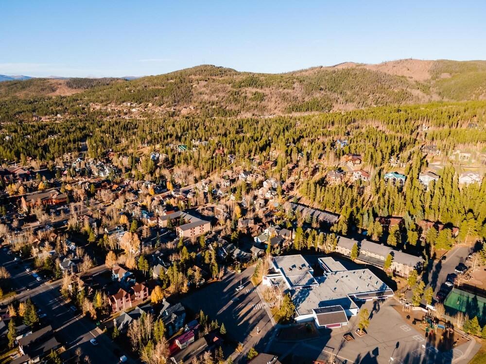 Harris Street - Paddington