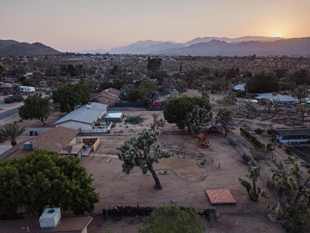 Mountain View Trail - Roadrunner