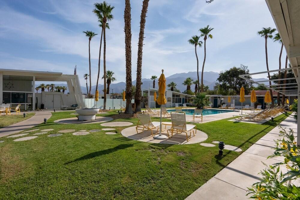 Monkey Tree Hotel Buyout