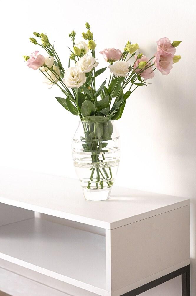 Phaedrus Living Modern Kriel Suites 203