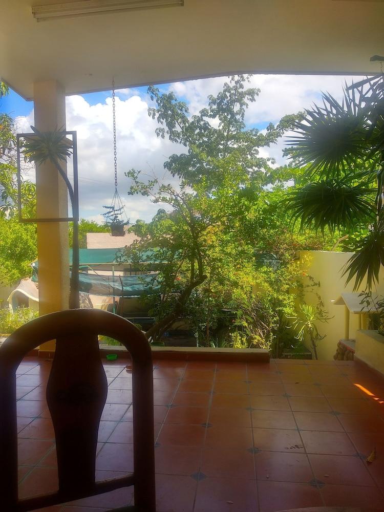 Room in Guest Room - Padrino's Hostal La Paz Full House