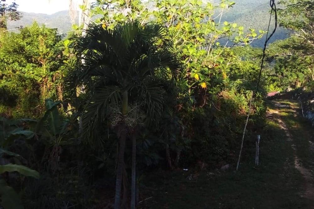Lovely 1-bed Cottage in St Catherine Jamaica