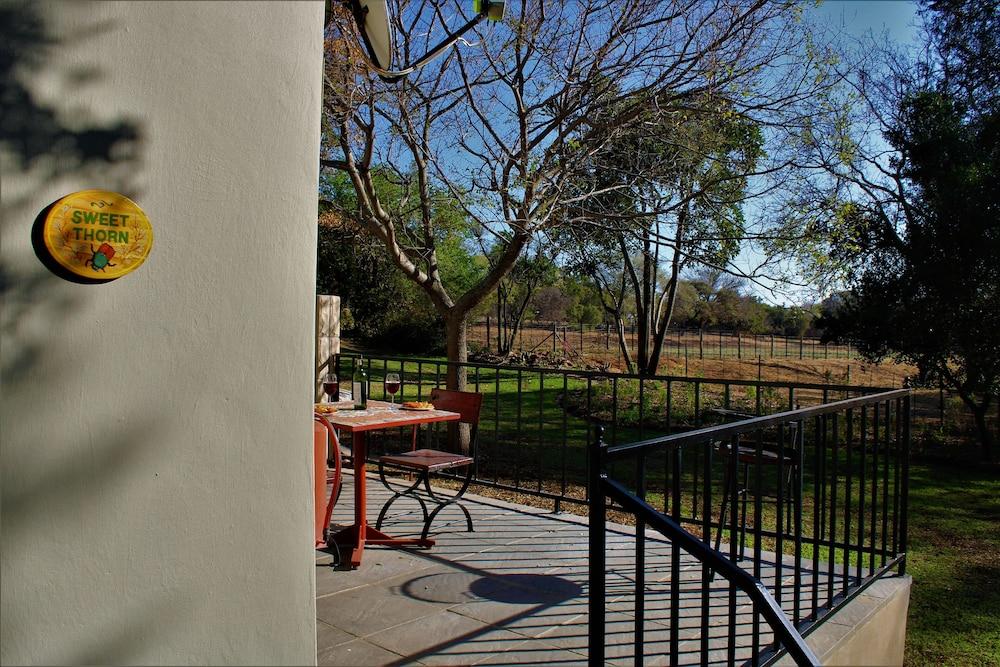 Sweet Thorn Tree Spacious Cottage for 2 People With Great Terrace!