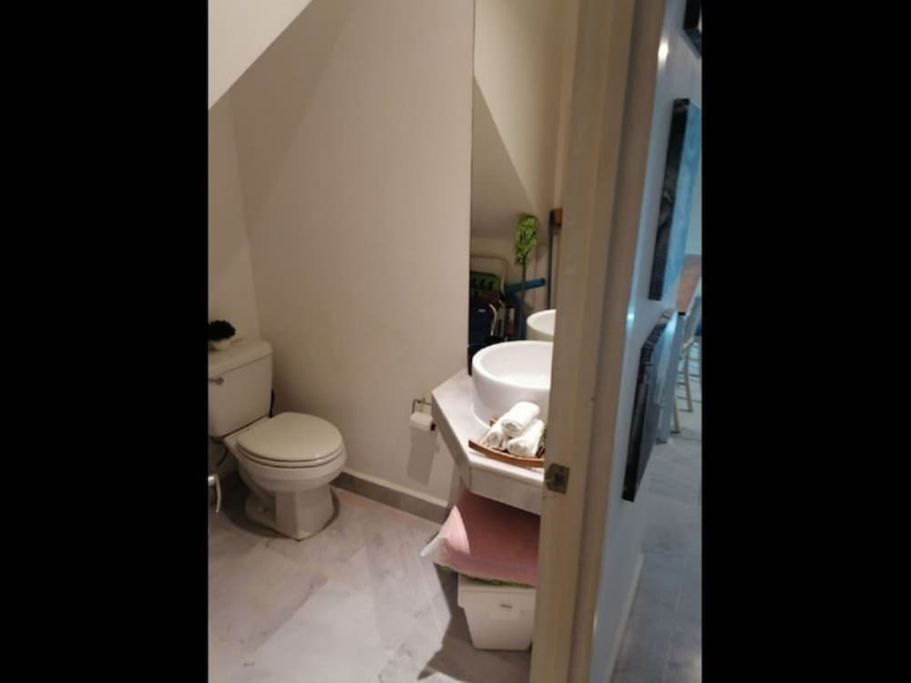 Aria Ocean 159 Flamingos