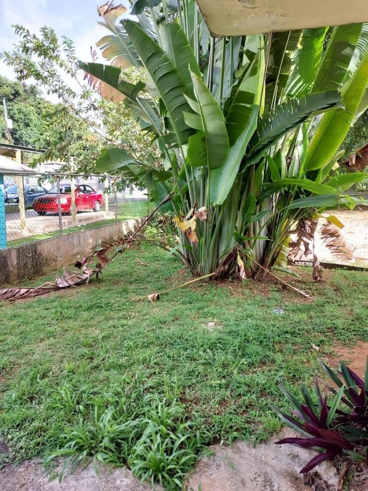 Confort y Relajacion