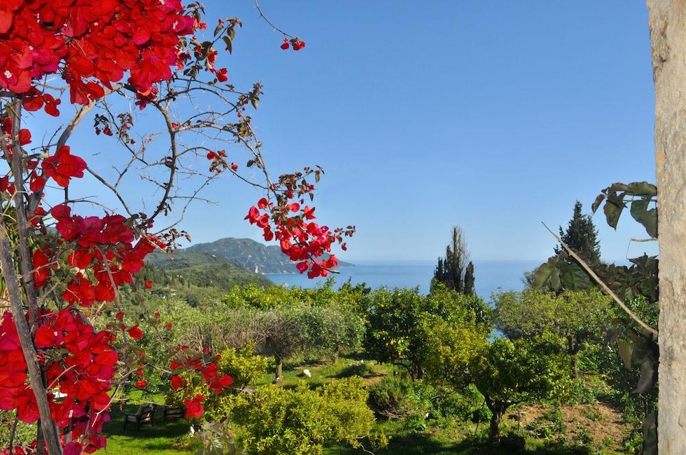 House Lemoni, Apartment C - Pelekas, Corfu