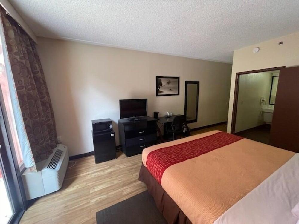 Tropical Palms Hotel