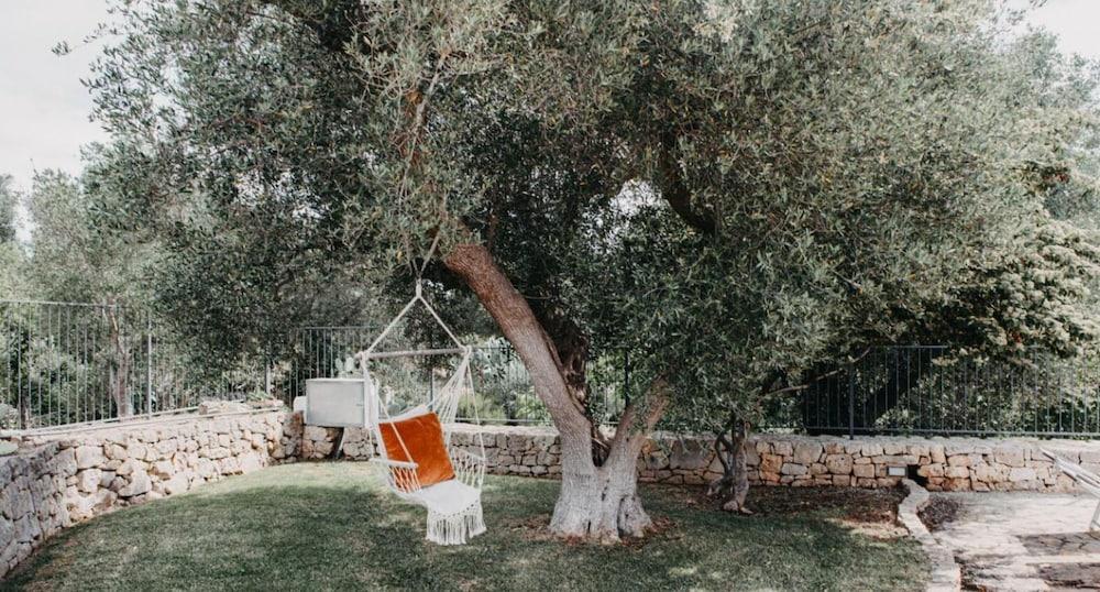 Trullo Degli Ulivi con Piscina e Idromassaggio