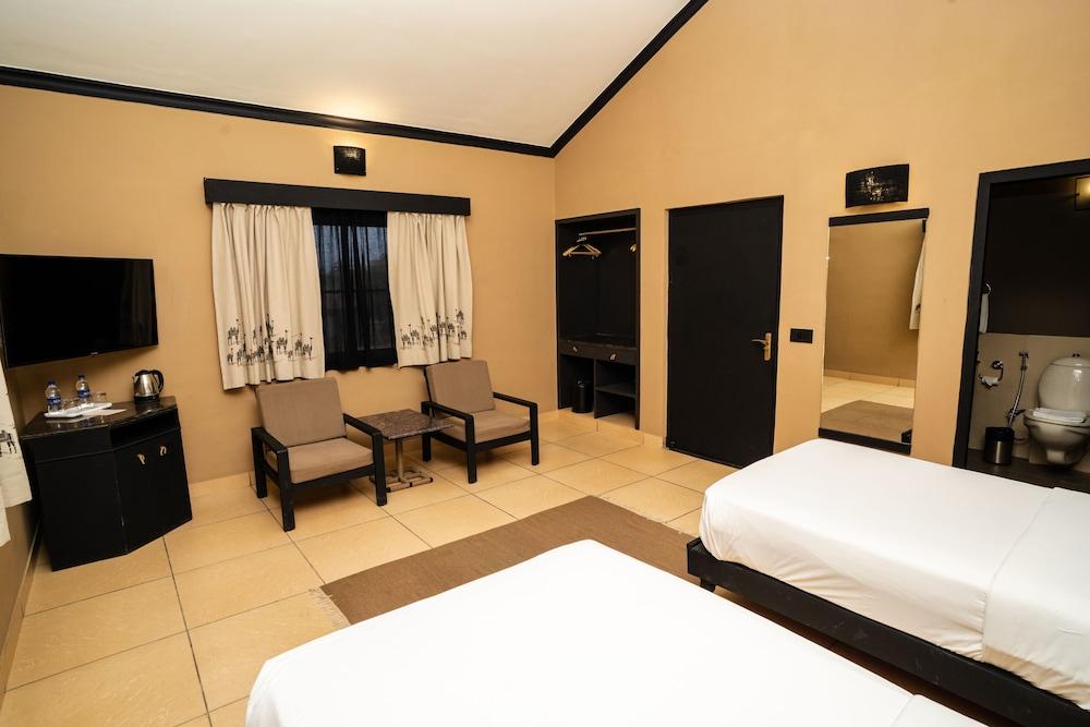 Clarks Safari Pushkar