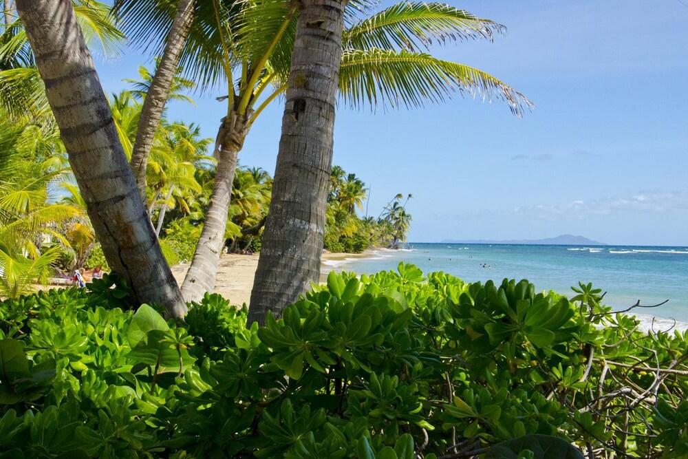 Amazing View Condo in Crescent Beach Cb210