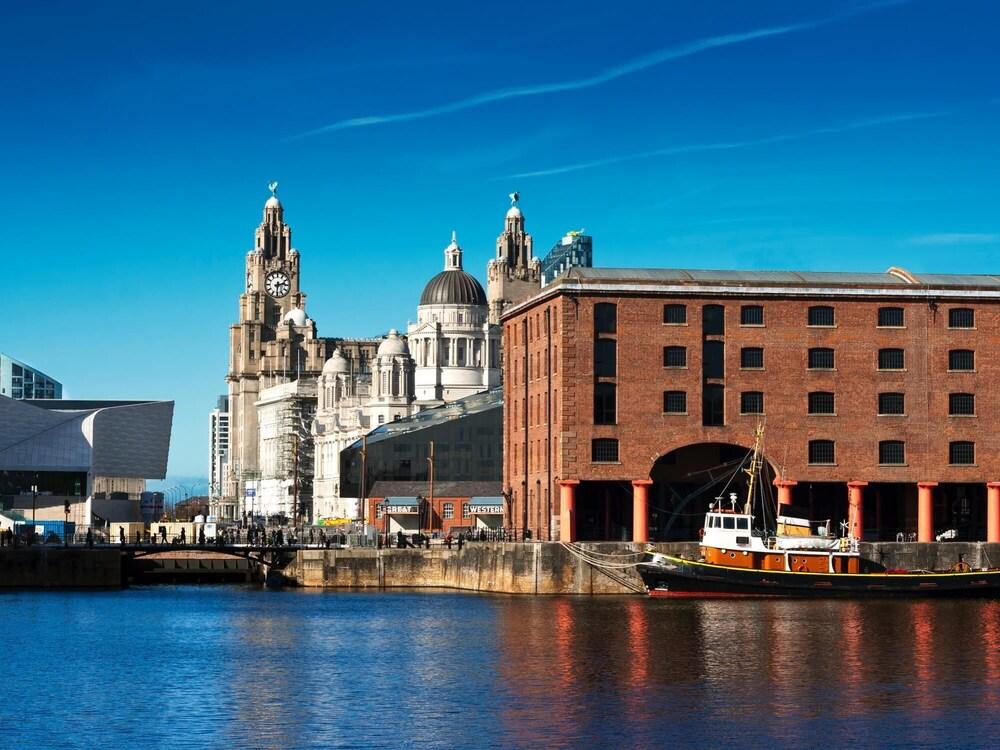 Paul s Studio Liver House