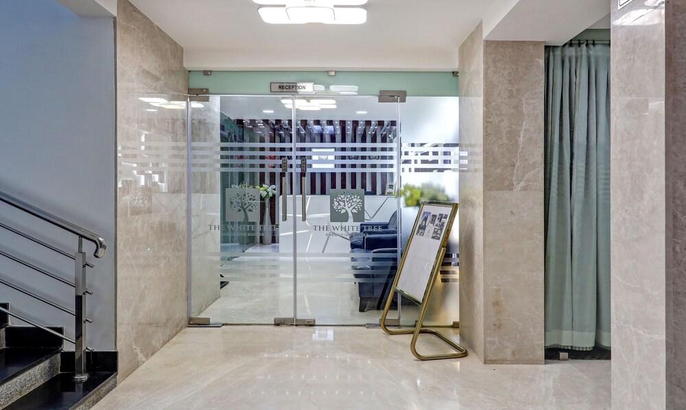 Treebo Trend The White Tree