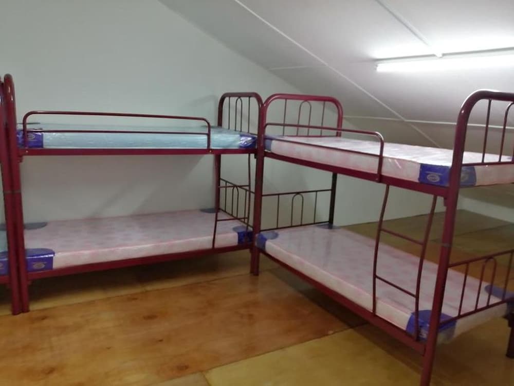 Single Bed in Mixed Dormitory Room With Ac