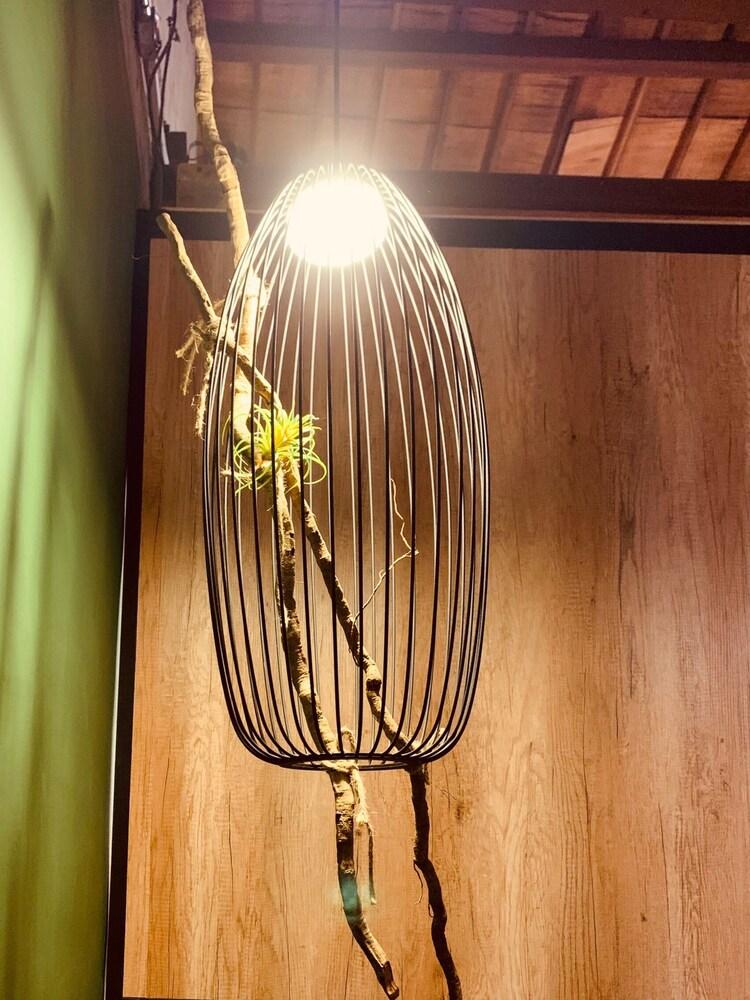 Yian Branch2 Backpacker lnn