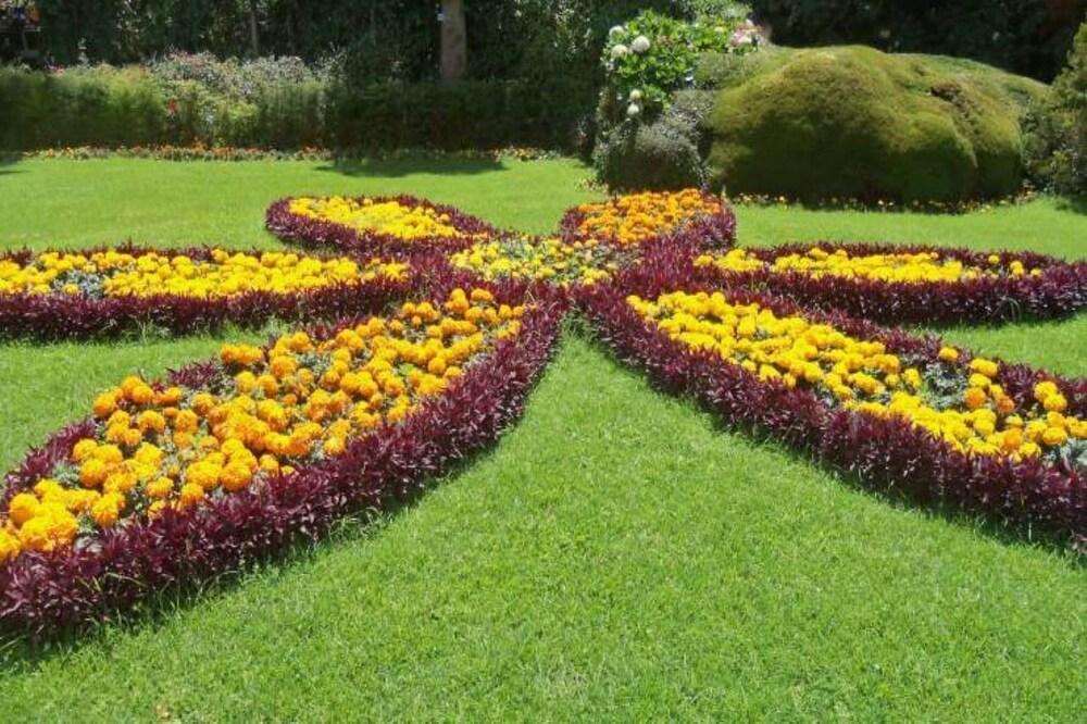 ONELOVEDALE Blusalz Homes