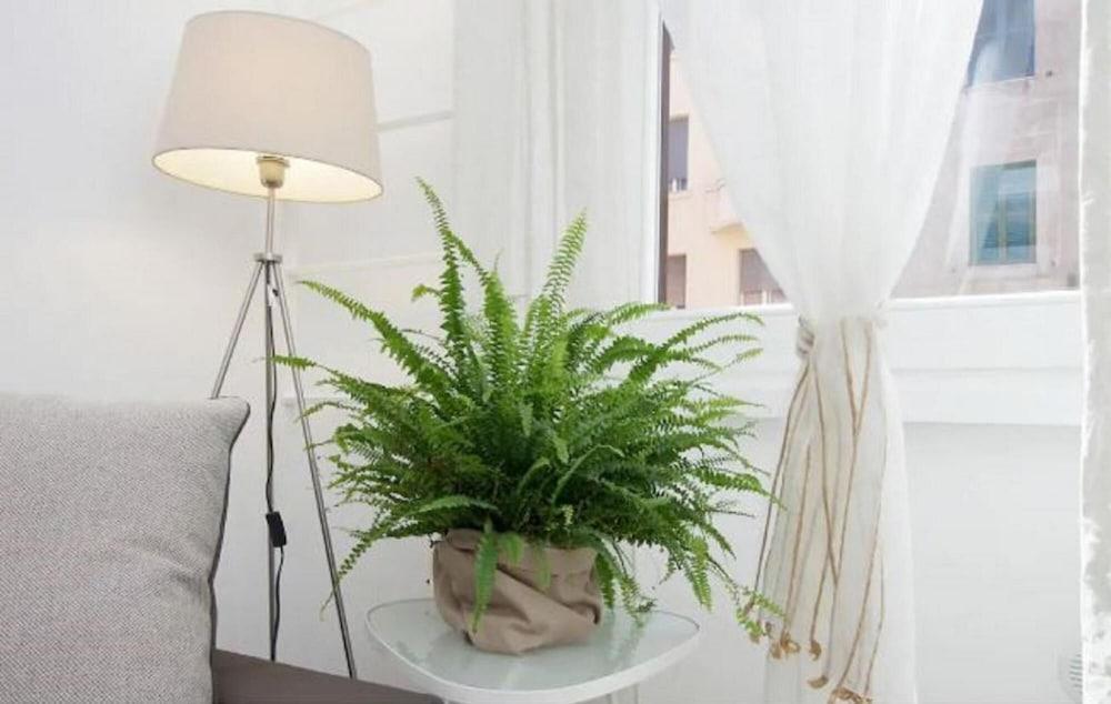 Vatican White Apartment - Vatican Cumfida