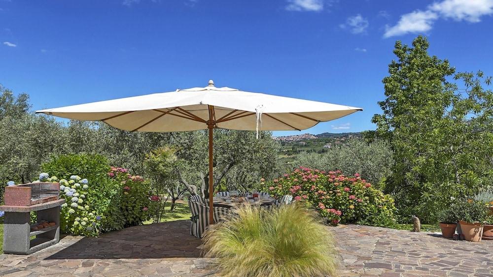 Rm-c767-gmat0at - Lanuvium 10