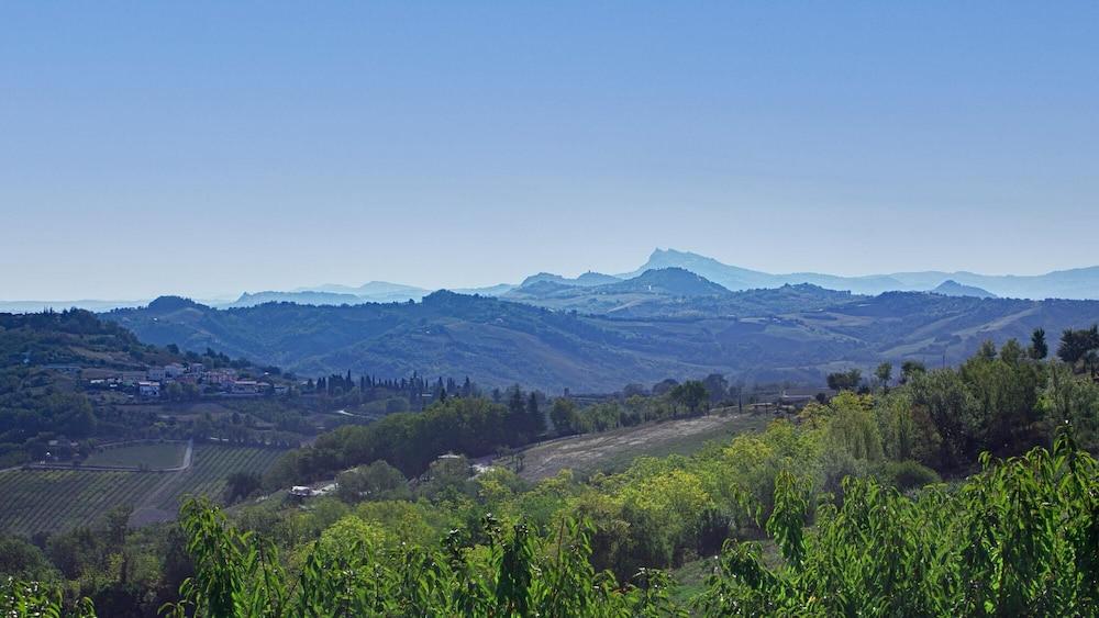 La Tana del Ghiro 20